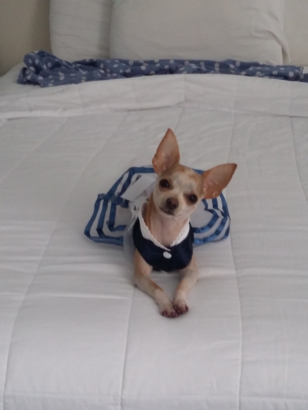 Meet your Posher, Robyn